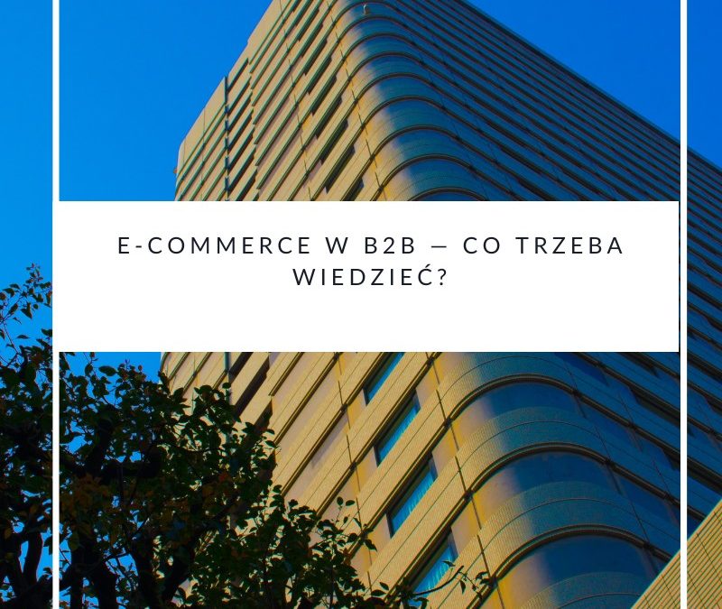 E-commerce w B2B — co trzeba wiedzieć