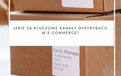 Jakie są kluczowe kanały dystrybucji w e-commerce?